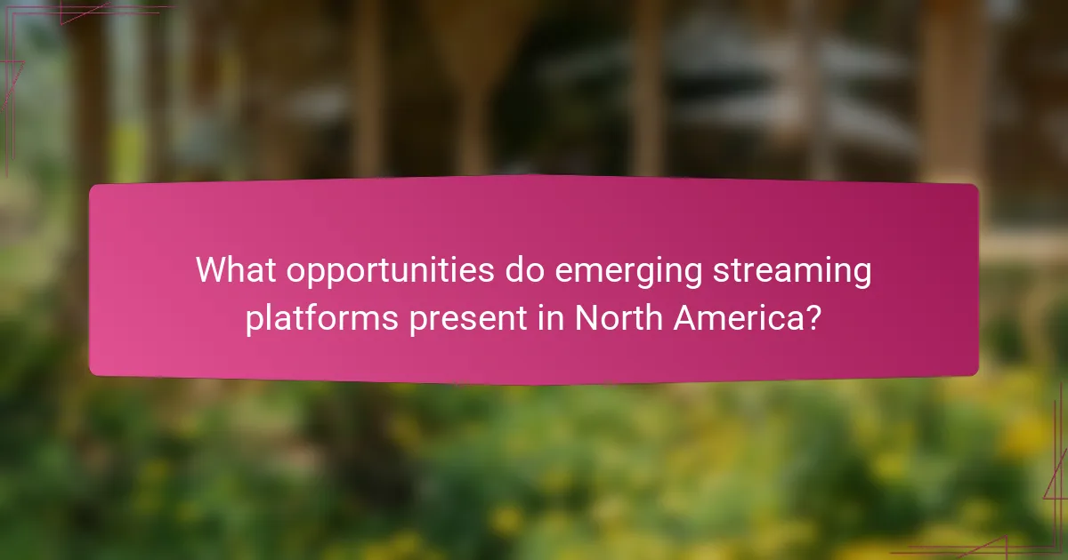 What opportunities do emerging streaming platforms present in North America?